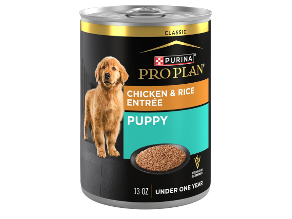 Purina Pro Plan Wet Puppy Food Pate - Chicken and Rice Entrée