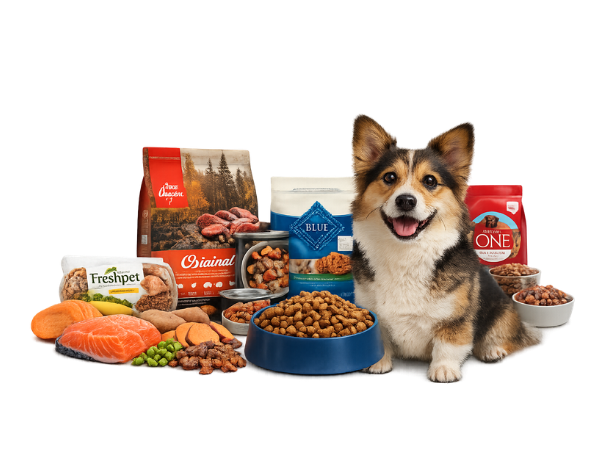 Best Dog Food Brands List A–Z